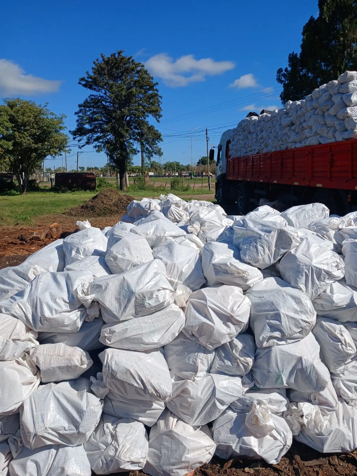 Acopio de bolsas de carbón vegetal junto al camión de transporte