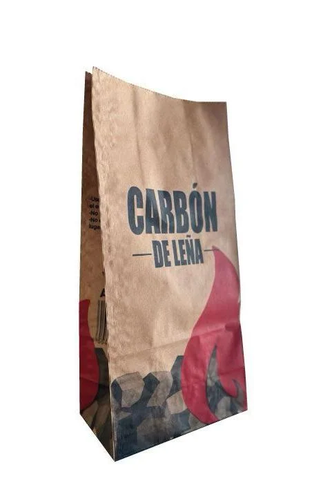 Bolsa cartón 1