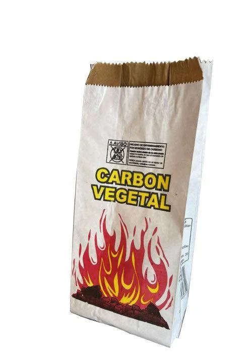 Bolsa cartón 2