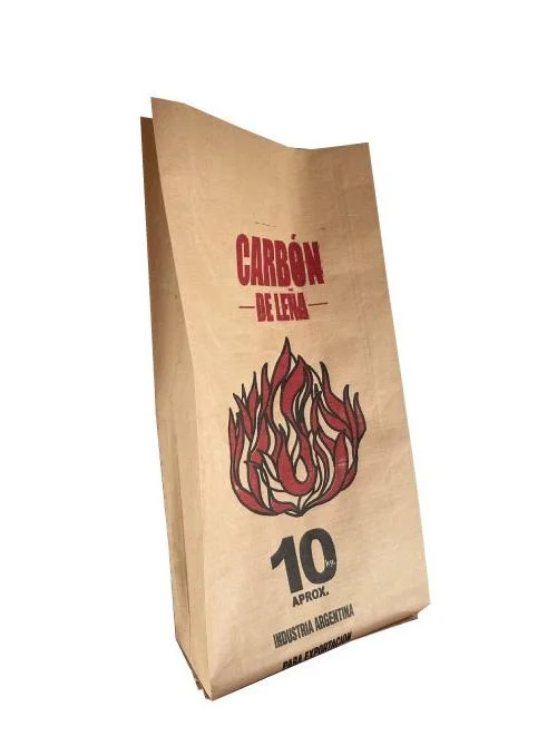 Bolsa cartón 4