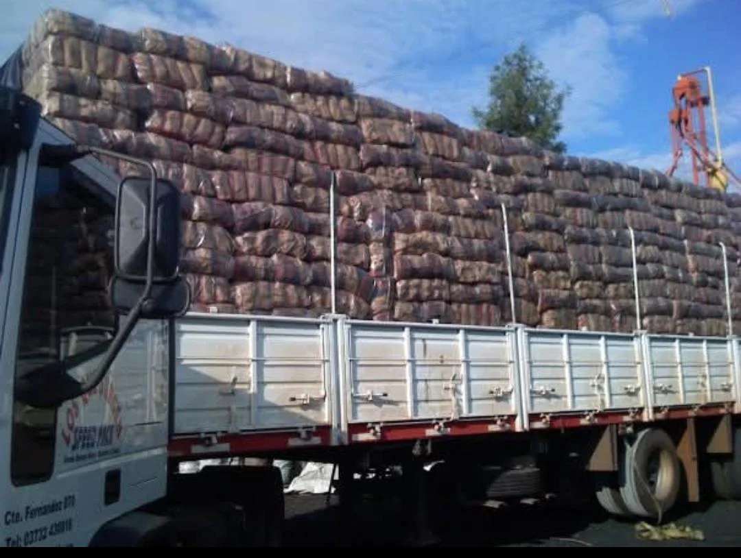 Camión cargado con bolsas de carbón vegetal en el depósito