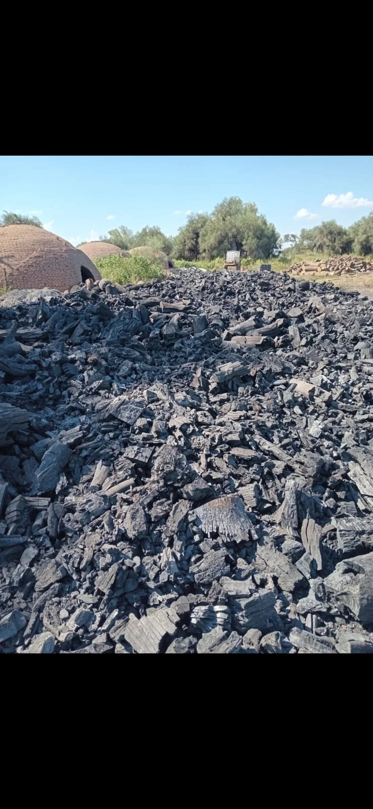 Carbón vegetal a granel recién producido junto a los hornos de ladrillo