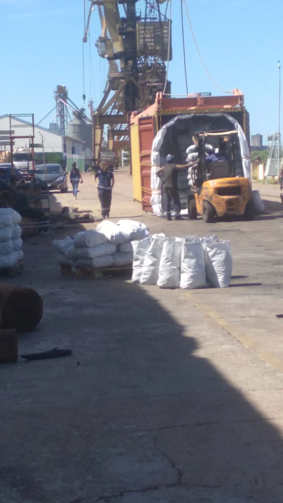 Carga de bolsas de carbón vegetal al contenedor en el puerto