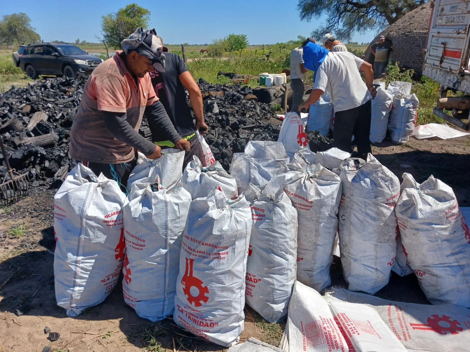 Trabajadores embolsando carbón vegetal junto al horno en el campo
