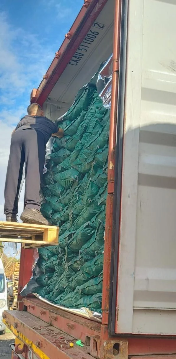 Estiba de bolsas de carbón vegetal dentro del contenedor de exportación