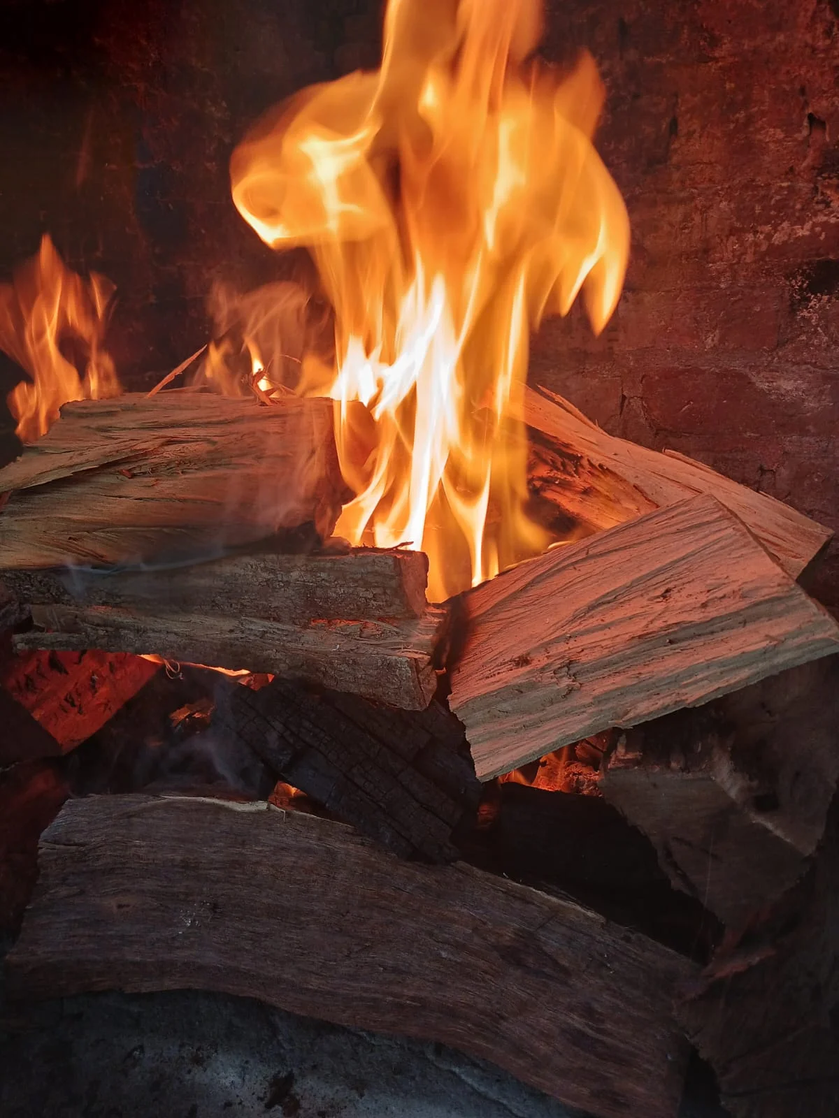 Fuego con quebracho blanco
