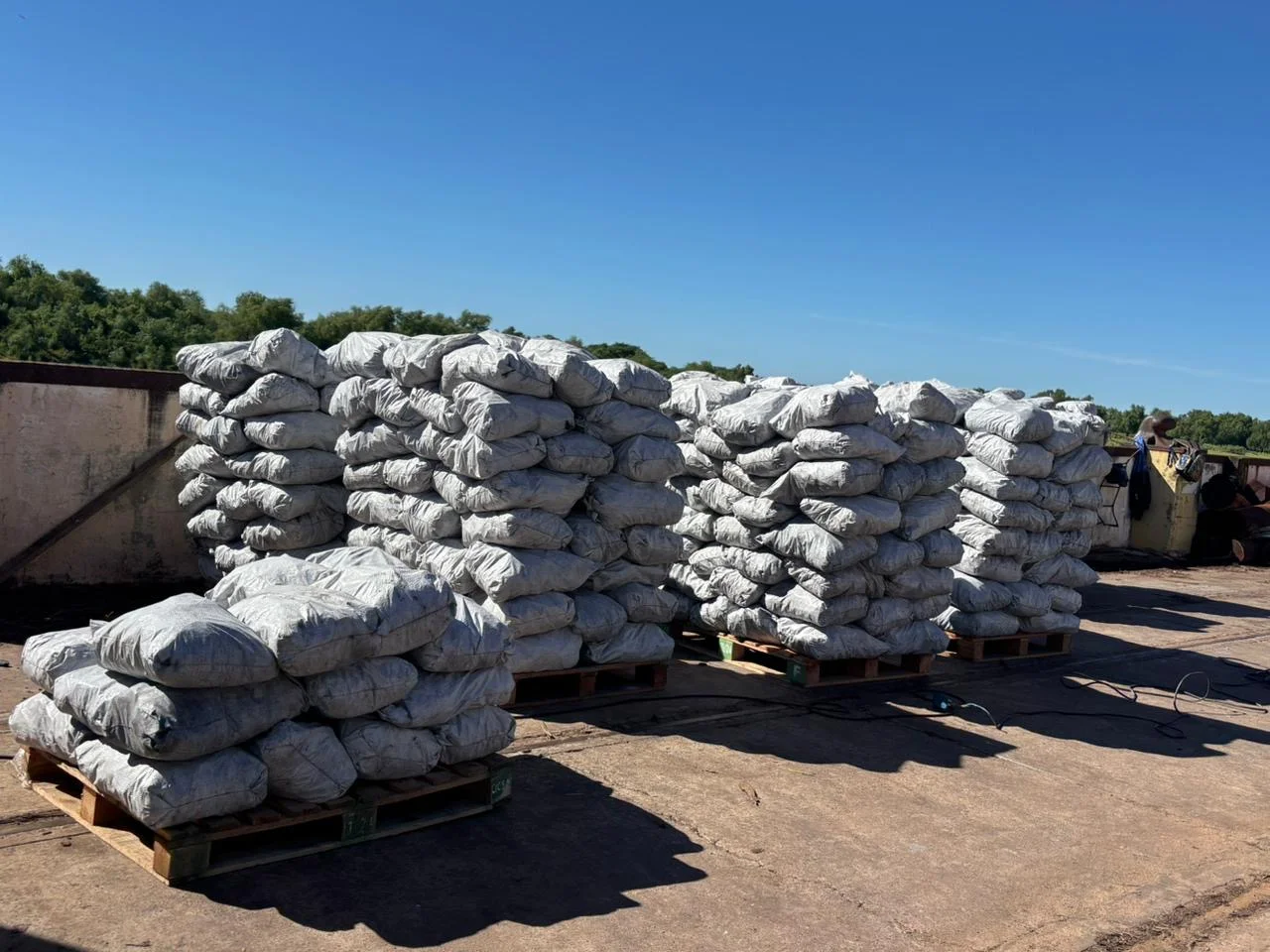Palets de bolsas de carbón vegetal listos para despacho en planta