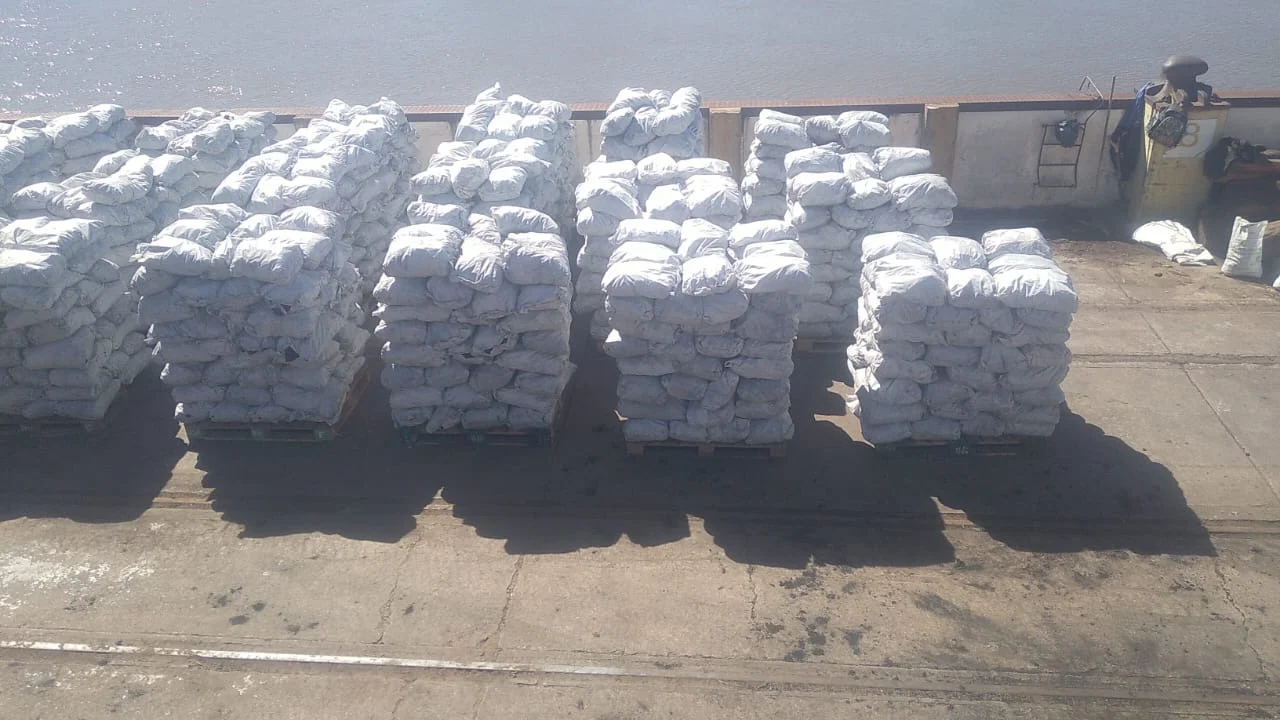 Palets de carbón vegetal en el muelle del puerto para embarque